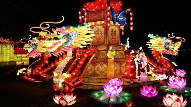 China Light antwerpen zoo lichtfestival lightfestival lichtfeest lichtspektakel festival event events evenement evenementen draak dragon lotusprinses lotus glow chinese movie video